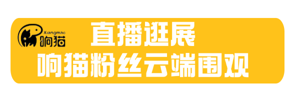 upfile upfile