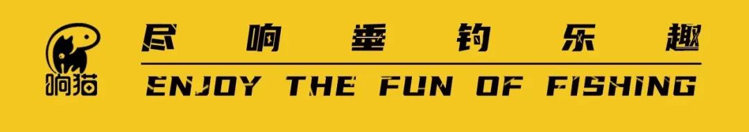 upfile upfile